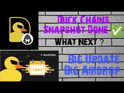 Duckchain Big Update || Snapshot Done Listing Confirm ✅ ||