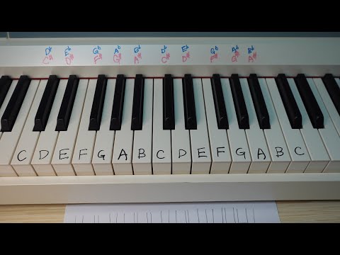 鋼琴鍵盤, 音名, 升降號, 異符同音【Lesson 1】五級樂理 ABRSM Grade 5 Music Theory