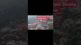 Pahado ki Rani Shimla Himachal Pradesh View in Summer||Summer View of Shimla||Zakhoo Temple-Ridge