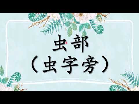 虫部（虫字旁） | 学前教育班Preschool | 学习中文 Learning Chinese