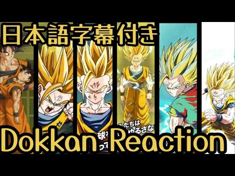 ドッカンバトル LR SSJ2 悟飯 リアクション Dokkan LR SSJ2 Gohan Reaction