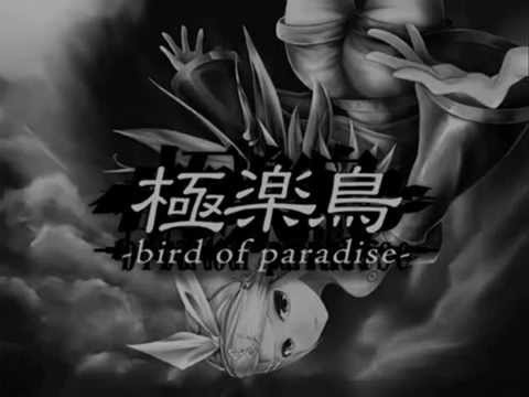 何にも囚われずに『極楽鳥 -bird of paradise-』を歌ってみました