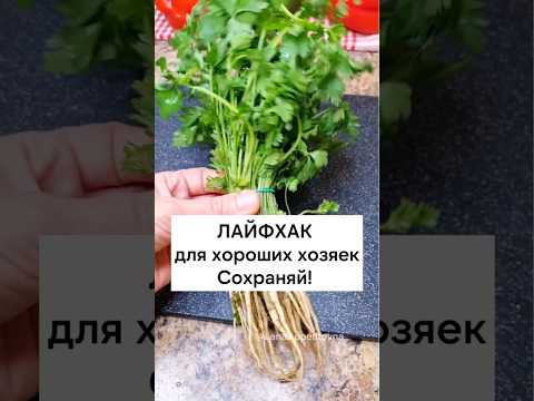 Лайфхаки на кухне. Сохрани и отправь другу 👌 #лайфхак #лайфхаки #lifehack #lifehacks