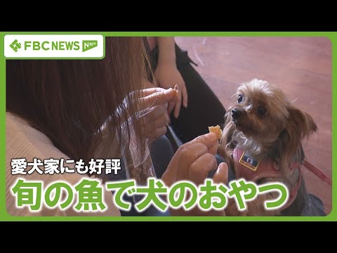 【ペットフード】愛犬家にも好評　旬の魚を乾燥させた犬のおやつ　食品添加物なしで安心　商品化のきっかけは未利用魚の活用