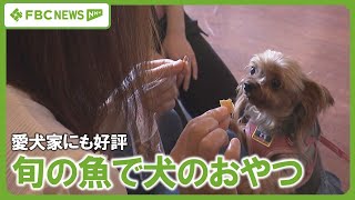 【ペットフード】愛犬家にも好評　旬の魚を乾燥させた犬のおやつ　食品添加物なしで安心　商品化のきっかけは未利用魚の活用