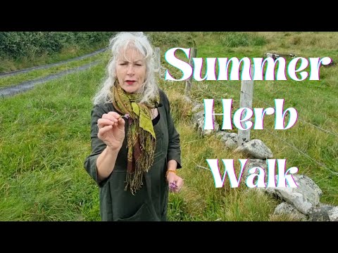 Summer Herb Walk