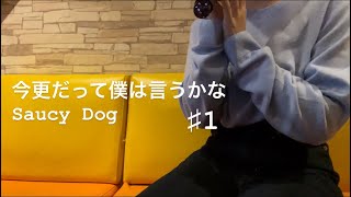 女性が歌う【今更だって僕は言うかな/Saucy Dog】♯1