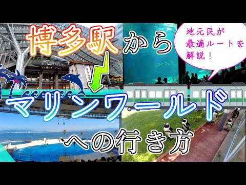 【博多駅からマリンワールド海の中道への行き方】福岡観光　How to get from Hakata to Dazaifu　하카타에서 다자이후로 가는 방법　如何從 博多 往 太宰府市