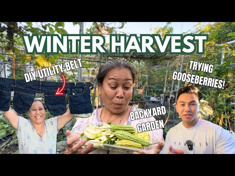 HARVESTING for soup | Turning jeans into a garden UTILITY BELT