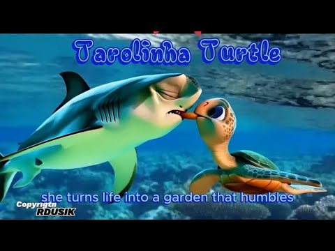 Tarolinha Turtle