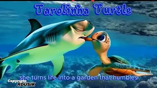 Tarolinha Turtle