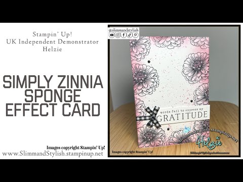 Stampin’ Up! Online Exclusive Simply Zinnia Blended Border Card