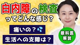 【白内障】検査時に痛みはある？生活への支障は？眼科医の白内障解説【その③】