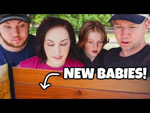 The surprise BIRTH we didn’t expect! 😅