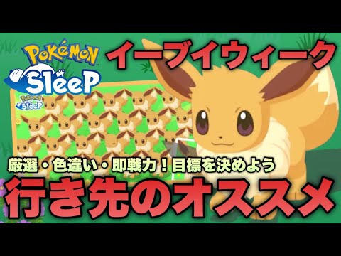 イーブイウィークはどこに行く？目標に合わせたオススメを解説します【ポケモンスリープ/安心院幽】