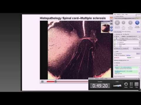 Medical School Pathology, 2013 Season, Session #38: Ortho-2