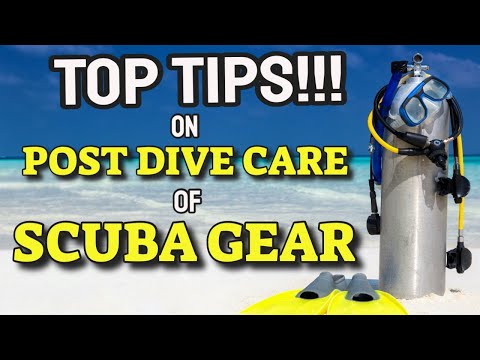 How to Properly Clean your Scuba Gear (Top Tips)