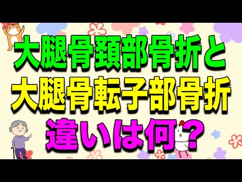 大腿骨頚部骨折、転子部骨折の違いは何？を解説！