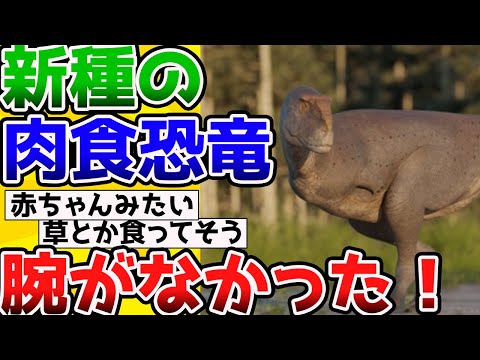 【2ch動物スレ】発見された新種の肉食恐竜、まさかの腕がほぼないという事実