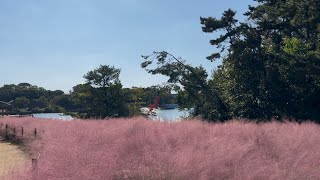 【長居公園】大阪市立長居植物園に行ってきました