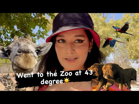 Went To The Zoo At 43 Degree☀️||Aayat Fajar||#zoocy