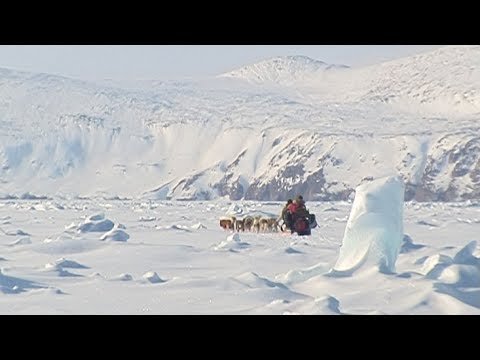 Crossing with sled dogs a zone of chaotic ice - Nanoq 2007 expedition