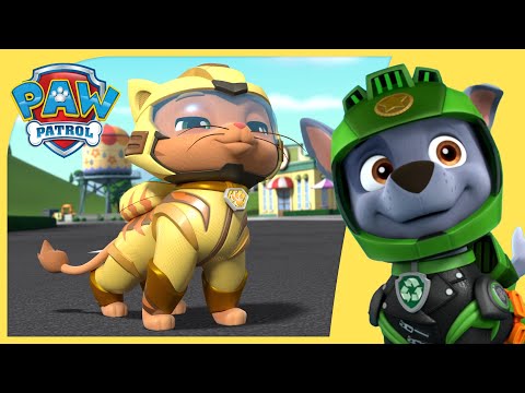 PAW Patrol Teams Up with the Cat Pack | PAW Patrol | Cartoons for Kids