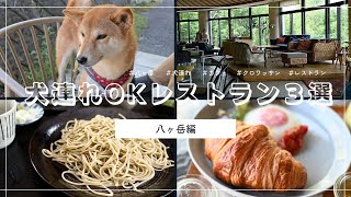 【八ヶ岳】犬連れOKレストラン３選/ワンコと一緒におでかけ♪絶品モーニングも【2023】The best dog friendly Restaurants in Yatsugatake, Japan.