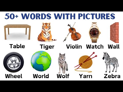 50 plus words | vocabulary | words in English grammar | words in english to learn | phonics words