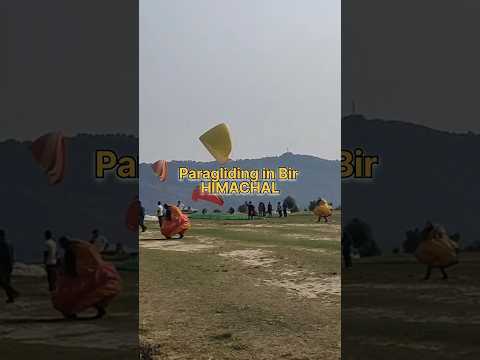 Paragliding in Bir Himachal Pradesh #travel #himachalpradesh #himachal #viral