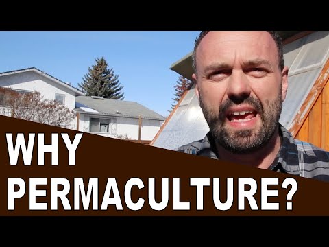 Why Permaculture: Food Security, Safety, Resilience and so much more!