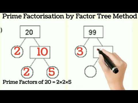 FactorTree | Factor Tree Method | Prime factorisation by Factor tree Method #factortree #primenumber