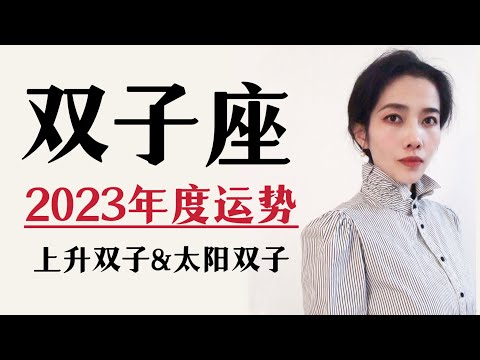 2023双子座｜年度总运势