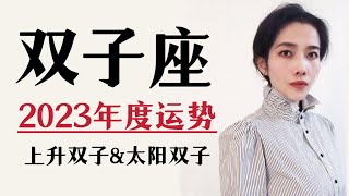 2023双子座｜年度总运势