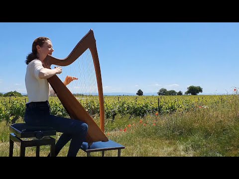 Turlough O'Carolan: "George Reynolds"  on Celtic Harp (Keltische Harfe)