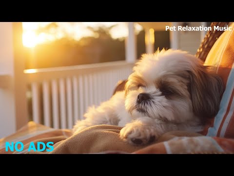 Relaxing Music To Calm Pets 💛 Healing Music for Dogs Anxiety Disorders Stress