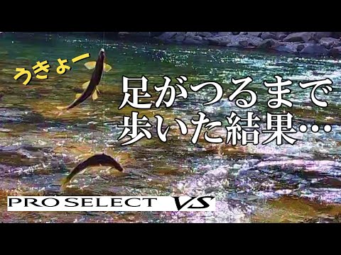 鮎釣り2024　良型鮎を追い求めて【プロセレクトVS H85】