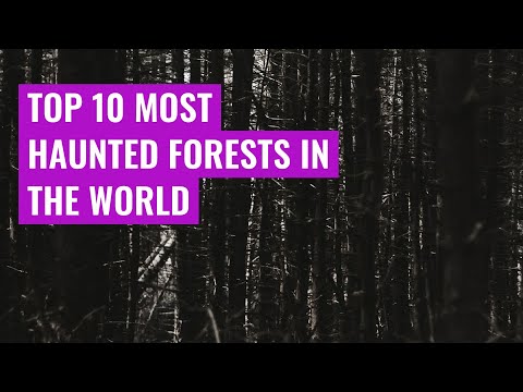 Top 10 most haunted forests in the world