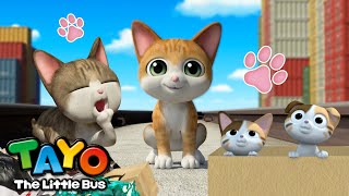 世界ねこの日😺 l ねこアニメ l にゃんにゃん、ねこがすき！ l 人気エピソード l タヨバス🚌