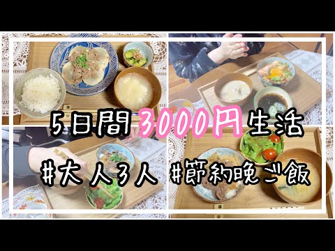 [節約レシピ]安くて簡単！大人家族3人の平日5日間の晩ご飯3000円生活。