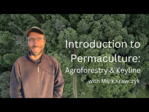 Introduction to Permaculture (3/5): Agroforestry + Keyline