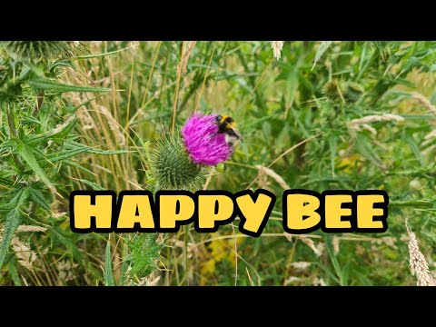 BUSY BEE ENJOYING THE NECTAR | HAPPY BEE