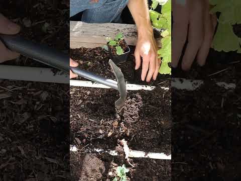 Check out this new planter from Yard Butler - Garden planting tool