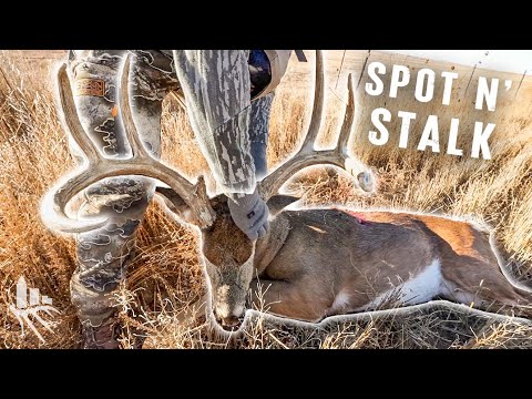 KANSAS BUCK Charges Our DECOY!!! - Our CRAZIEST Whitetail Encounter Ever!