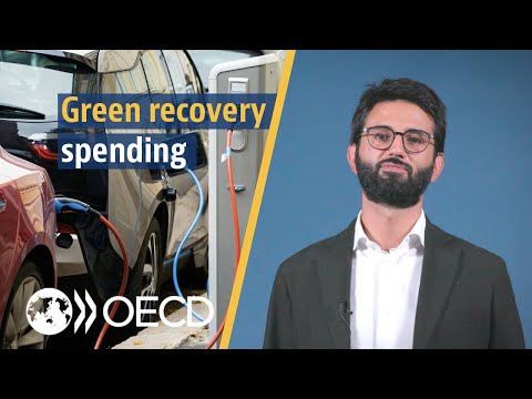 How green are COVID recovery measures?