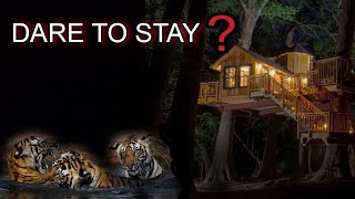 Treehouse inside Tiger Territory | Jim Corbett National Park