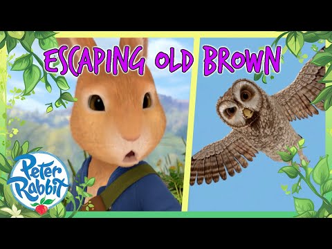 @OfficialPeterRabbit- 🦸 Rescuing Mr Tolly from Old Brown 🤩 | Anti-Bullying Month | Cartoon for Kids