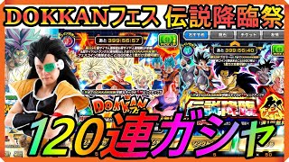 世界同時CP『超サイヤ人DOKKANフェス＆伝説降臨祭ブロリー』ラディッツの120連ガシャ!!超神引き!　#ドッカンバトル　#dokkanbattle 　#dragonball 【昆布ちゃん】