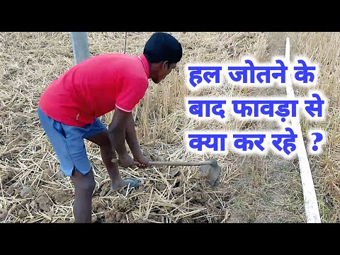 हल जोतने के बाद फावड़ा से क्या कर रहे  !! family vlogs !! village vlog #amwalavlogs