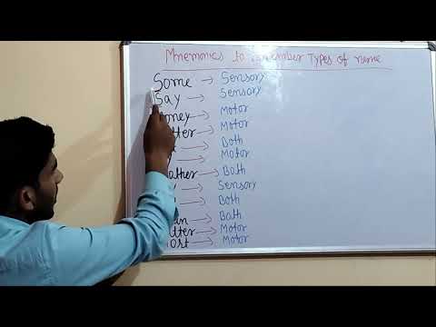 cranial nerve, how to remember sensory and motor #shorts